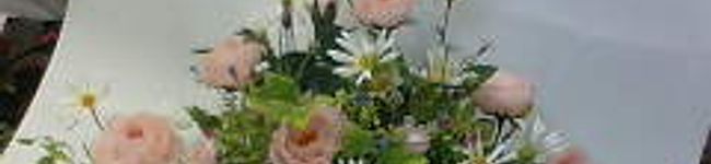 Ms.Funny's header image