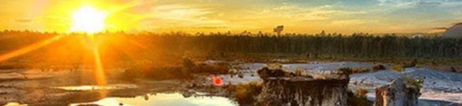SHINSORA's header image