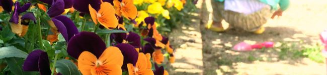 hosumin's header image