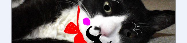りょうねこ's header image