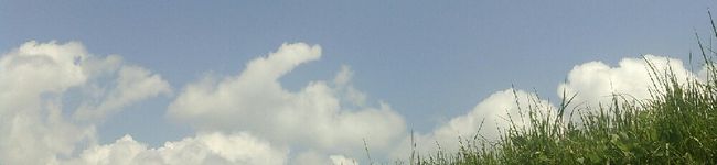 りつこだま's header image
