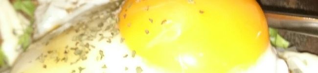 kuunosuke1's header image