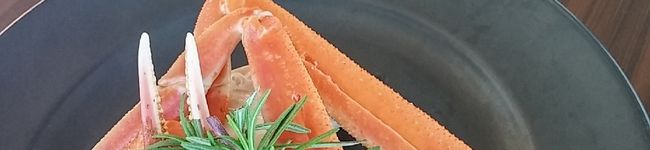 もりのしろくま's header image