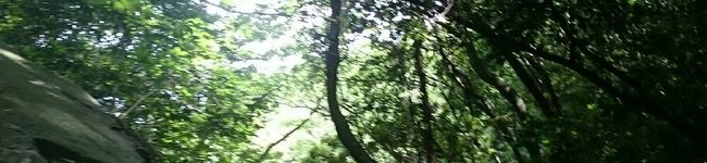クックGS1CZC☆'s header image