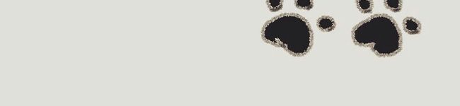みーつんmom◎'s header image