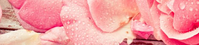 yayo☆★'s header image