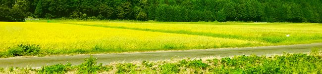 ちいちゃんまる's header image
