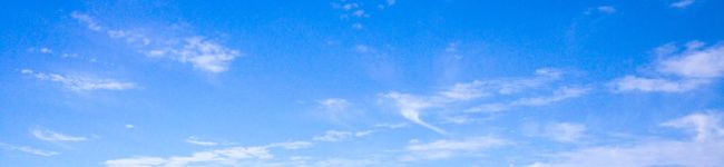 しんすけ216's header image