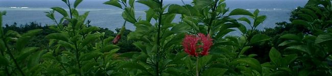 まちこママライフ's header image