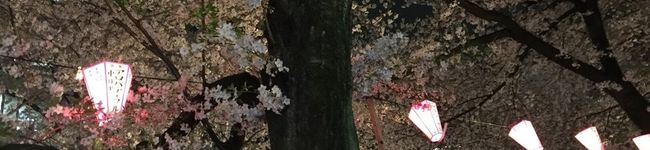 ＋＊りか's header image