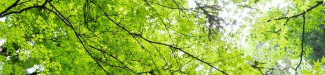 くうやーん's header image