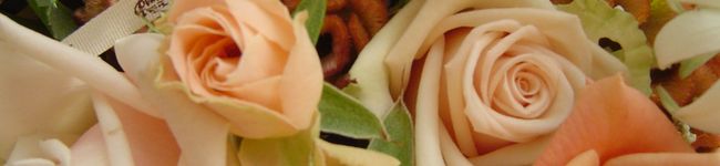 チュアン's header image