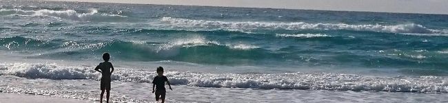 2828282828's header image