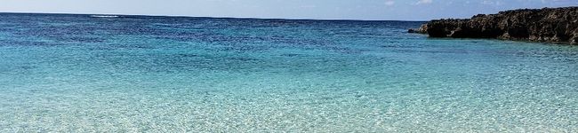 麻's header image