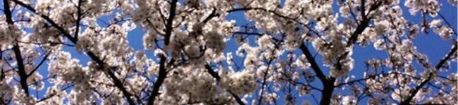 onton's header image
