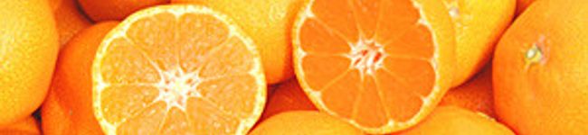 mikan5705's header image