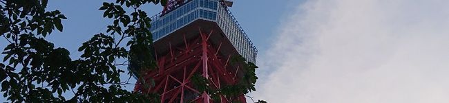まひゃりん's header image