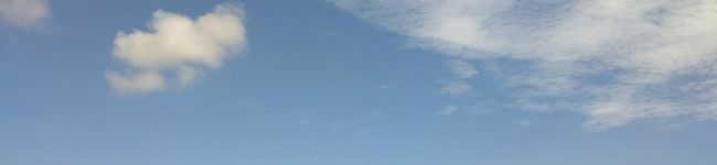 mamimamin's header image