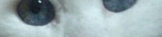 クラリス☆'s header image