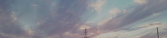 いもたると's header image