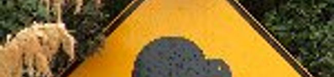 Soramum's header image