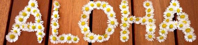 ♡VANILLAN♡'s header image