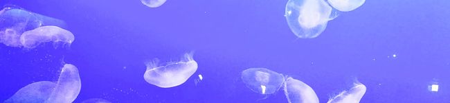 ＊arice＊'s header image