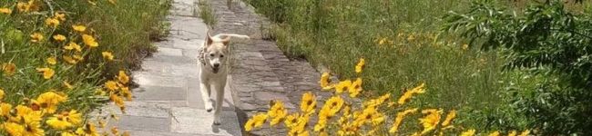 konmoe's header image
