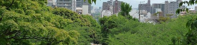 こめtoまめ's header image