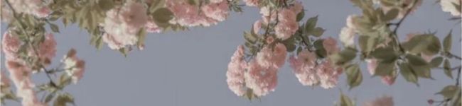 つのつのママ's header image