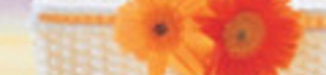 tomominn's header image