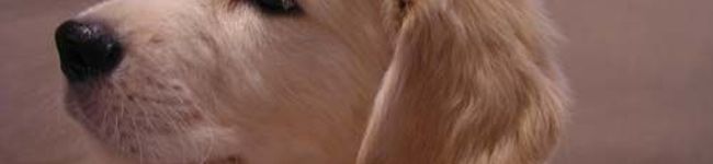 touchin21's header image