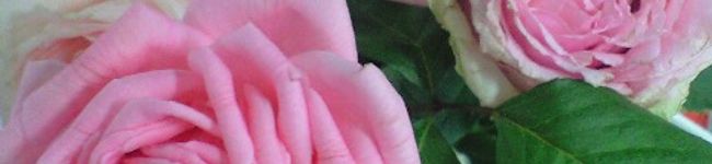 あーちゃんママ☆'s header image