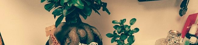 Misakiクック's header image