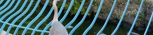 クックEPZ7L2☆'s header image
