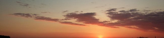 とまと野郎's header image