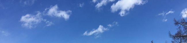 honeykei's header image