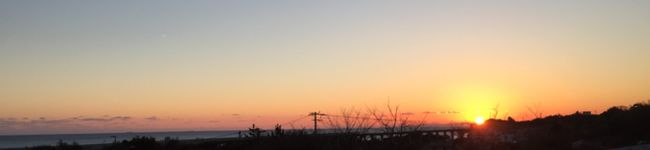 オリーブ（╹◡╹）'s header image
