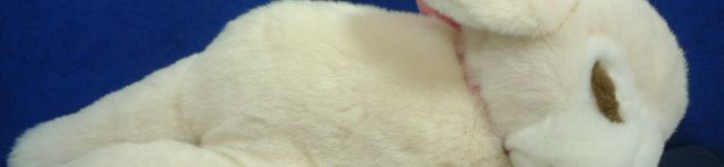 ねむー's header image