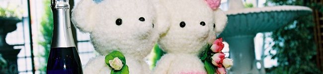 ニャすけ's header image