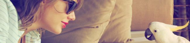 Naiki512's header image