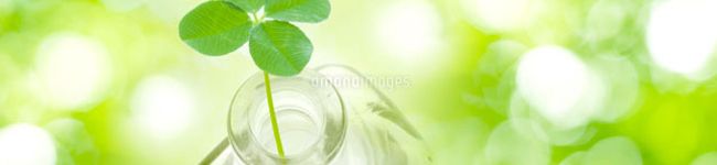 clover0com's header image
