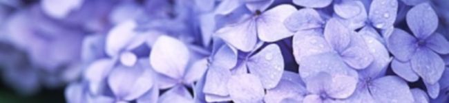 memi0404's header image