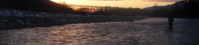 Silv's header image