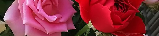 甘味だいすき's header image