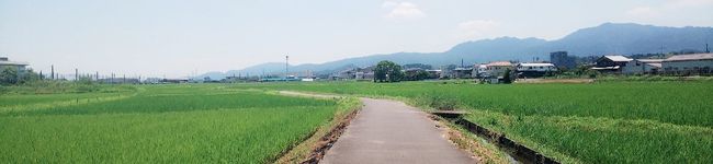 クック5G6O88☆'s header image