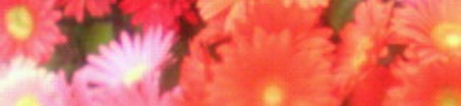 なーみー's header image