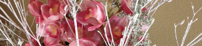ichimama♡'s header image