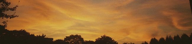 hanamidzu's header image