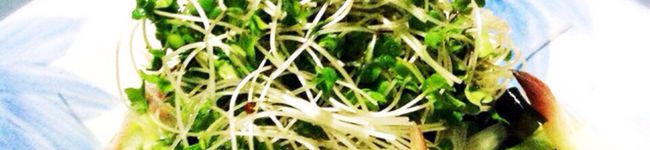 そですけ's header image